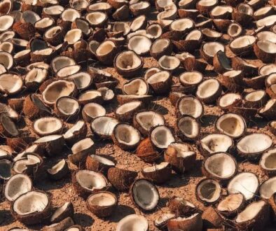 PT. Thrive Coco Indonesia blog