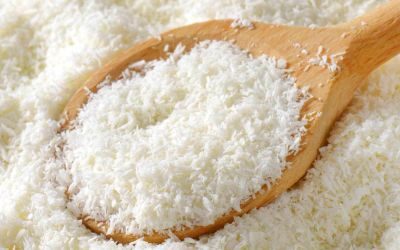 PT. Thrive Coco Indonesia Gallery 6 PT. Thrive Coco Indonesia Gallery