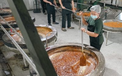 PT. Thrive Coco Indonesia Gallery 2