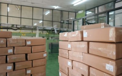 PT. Thrive Coco Indonesia Gallery 5